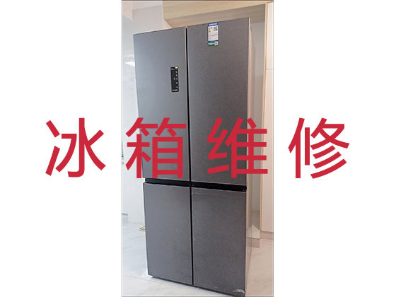 杭州专业冰箱冰柜安装